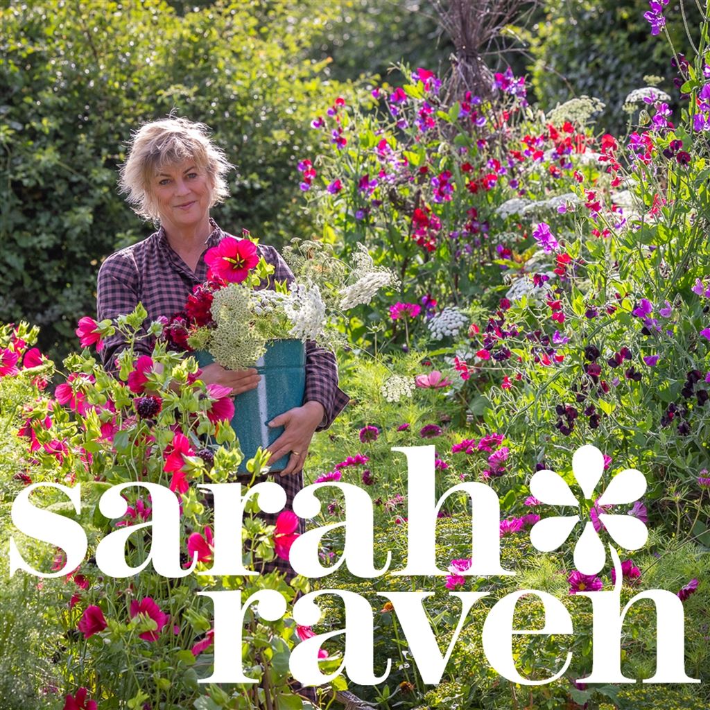 WIN A SARAH RAVEN COURSE & £250 ACCESSORIES