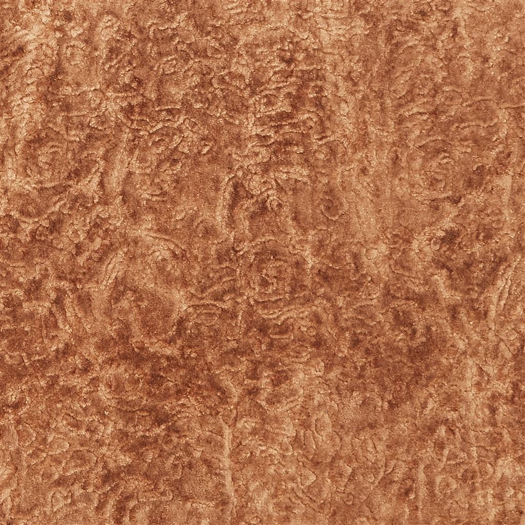 astrakhan velvet tbc - tbc