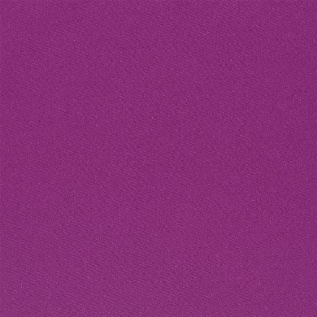 Lucente - Magenta Cutting