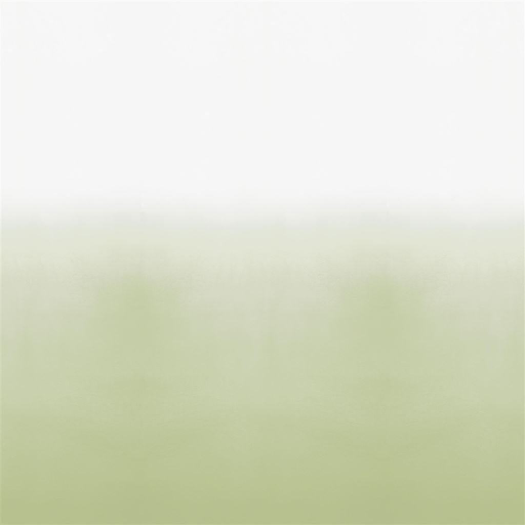 coquelicot ombre sage