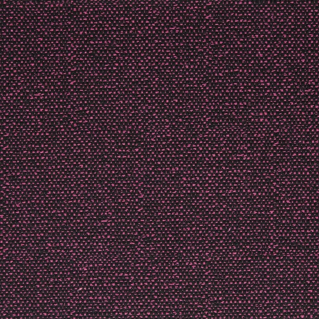 Sloane - Crocus Cutting
