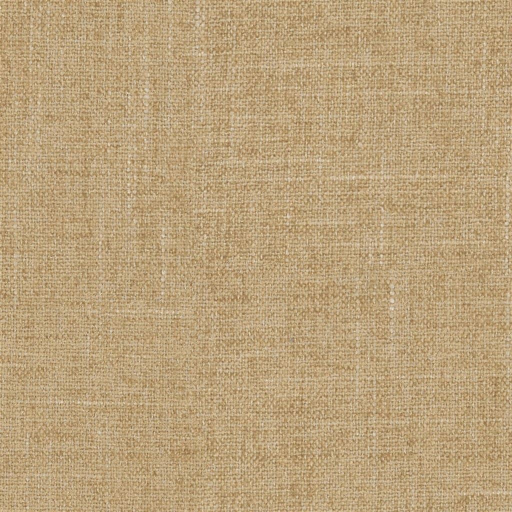 zezere - papyrus