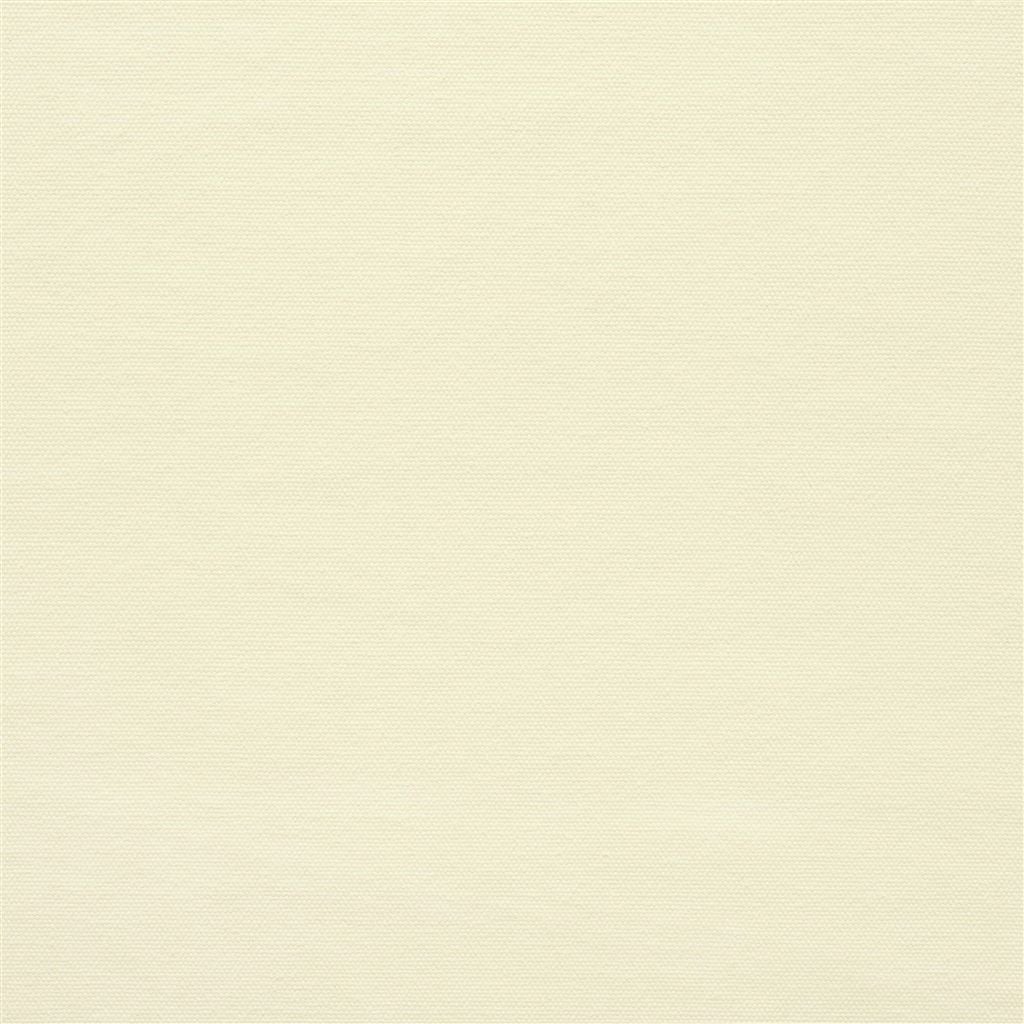 canvas - cream