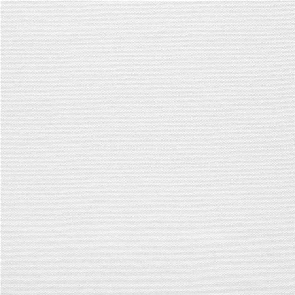 canvas - ivory