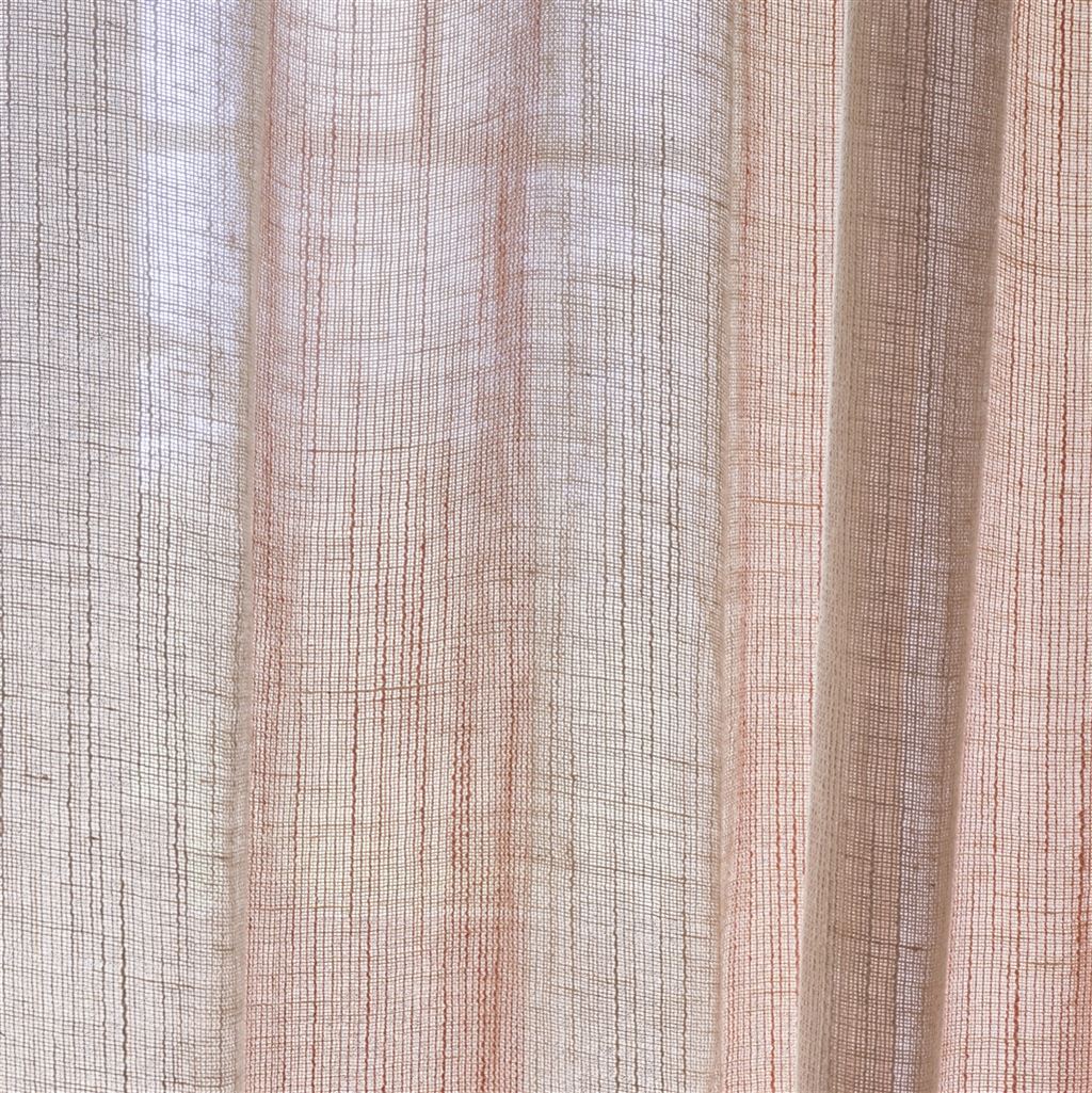 Cassien Terracotta