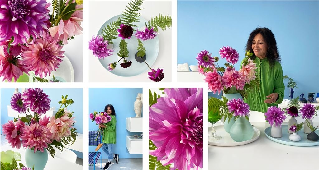 Tricia Guild's Dahlia Collection