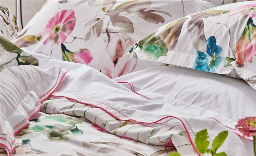 Tricia Guild dahlia collection with Sarah Raven                       