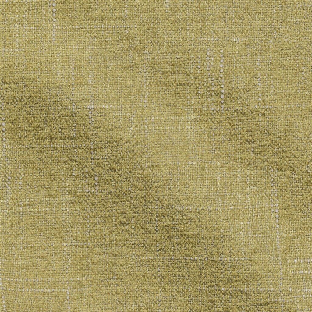 Zezere Olive