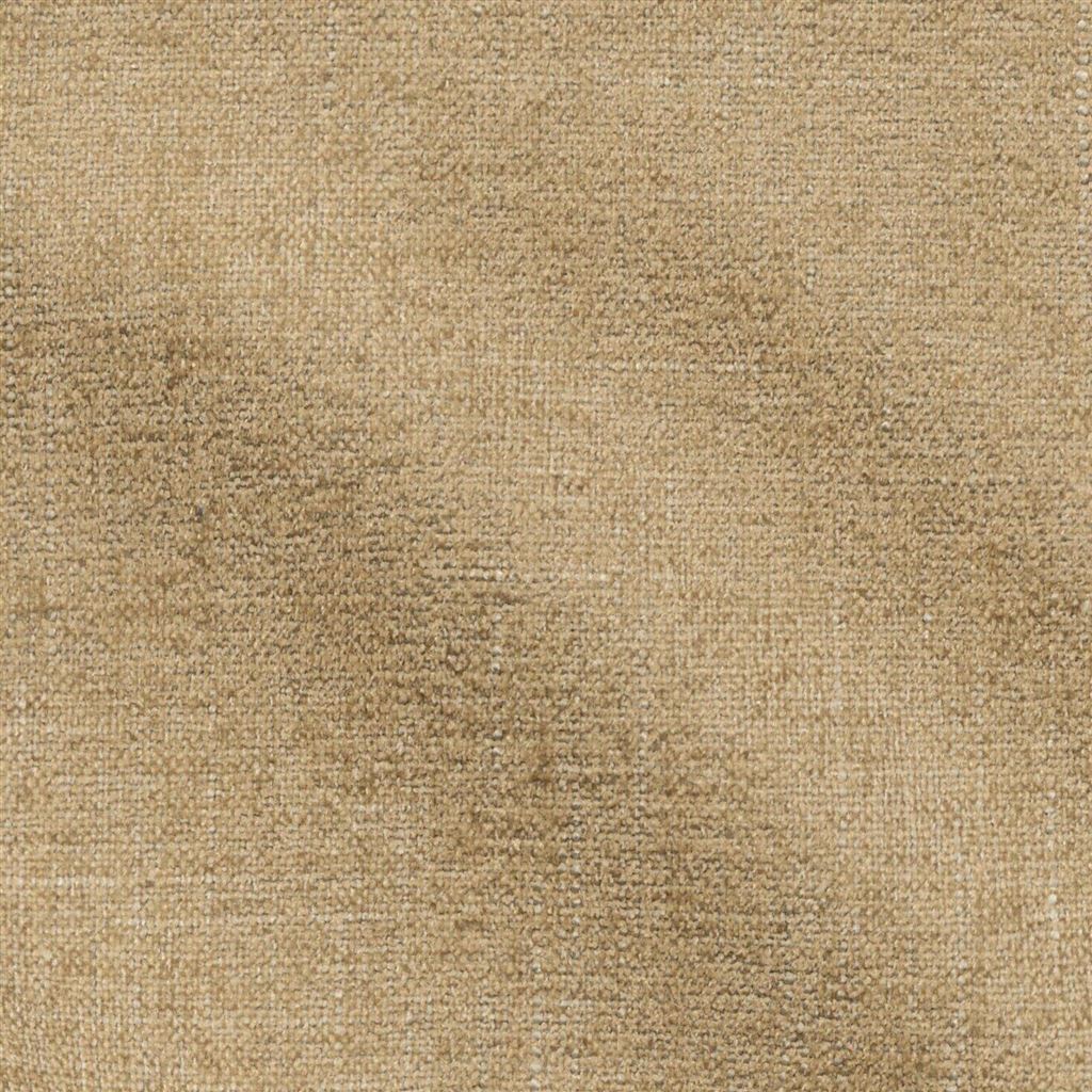 Zezere Papyrus