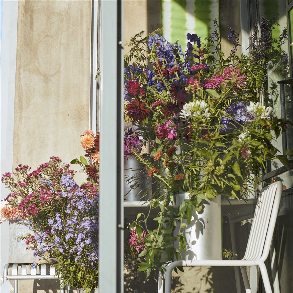 Chelsea Flower Show