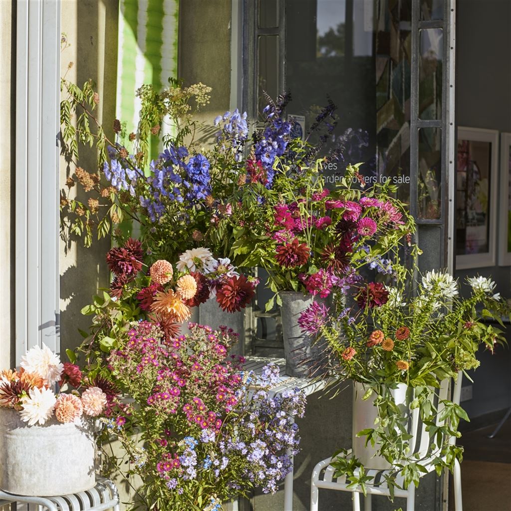Chelsea Flower Show