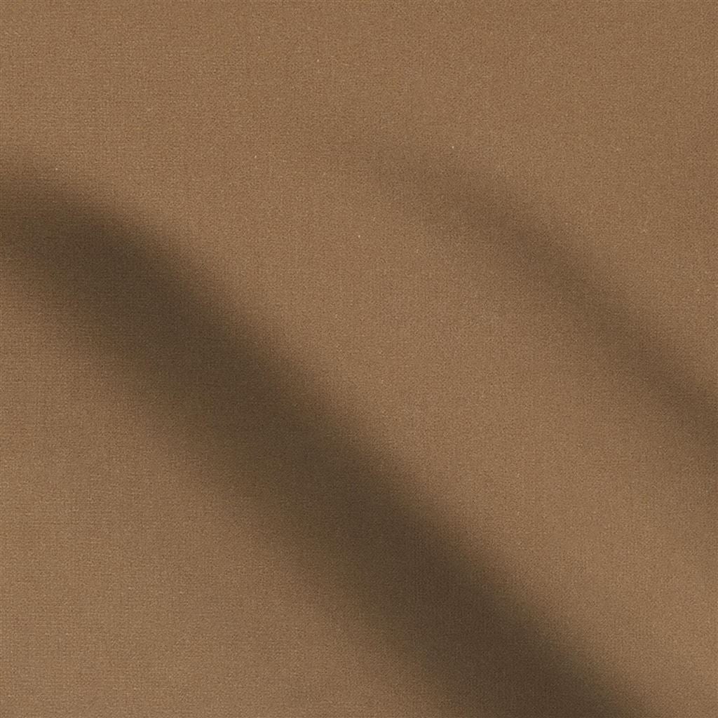 Riding Velvet - Camel