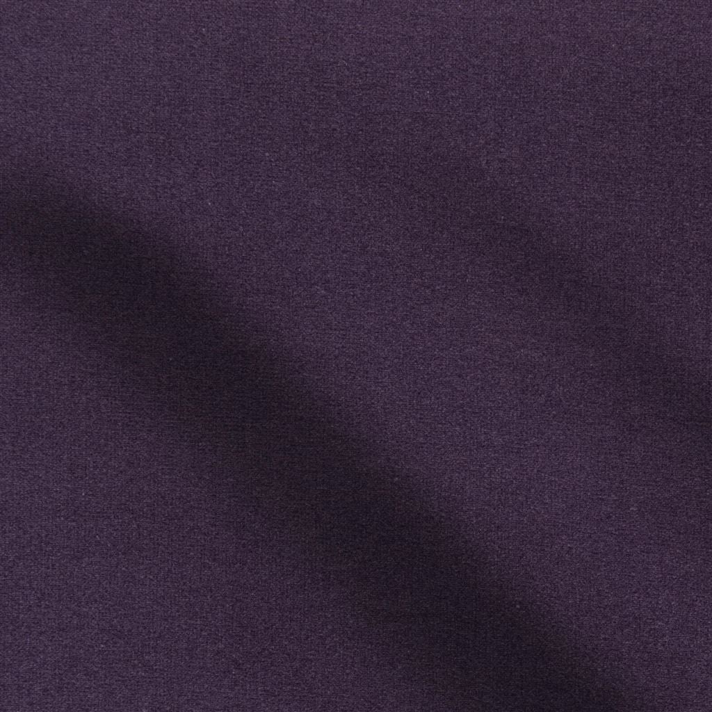 Riding Velvet - Purple