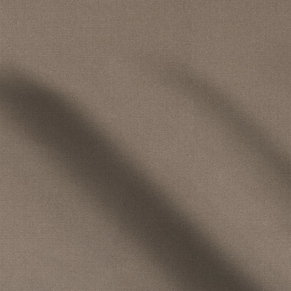 Riding Velvet - Gray