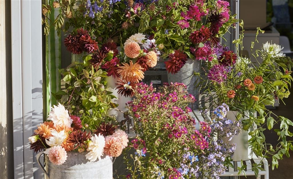 Chelsea Flower Show