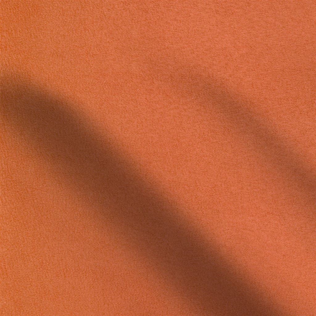 mezzola - mango