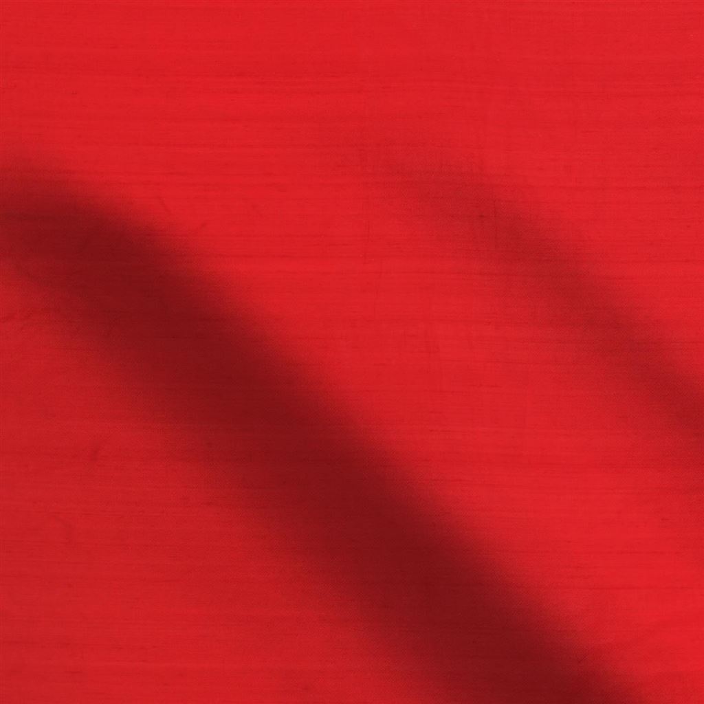 chinon - poppy
