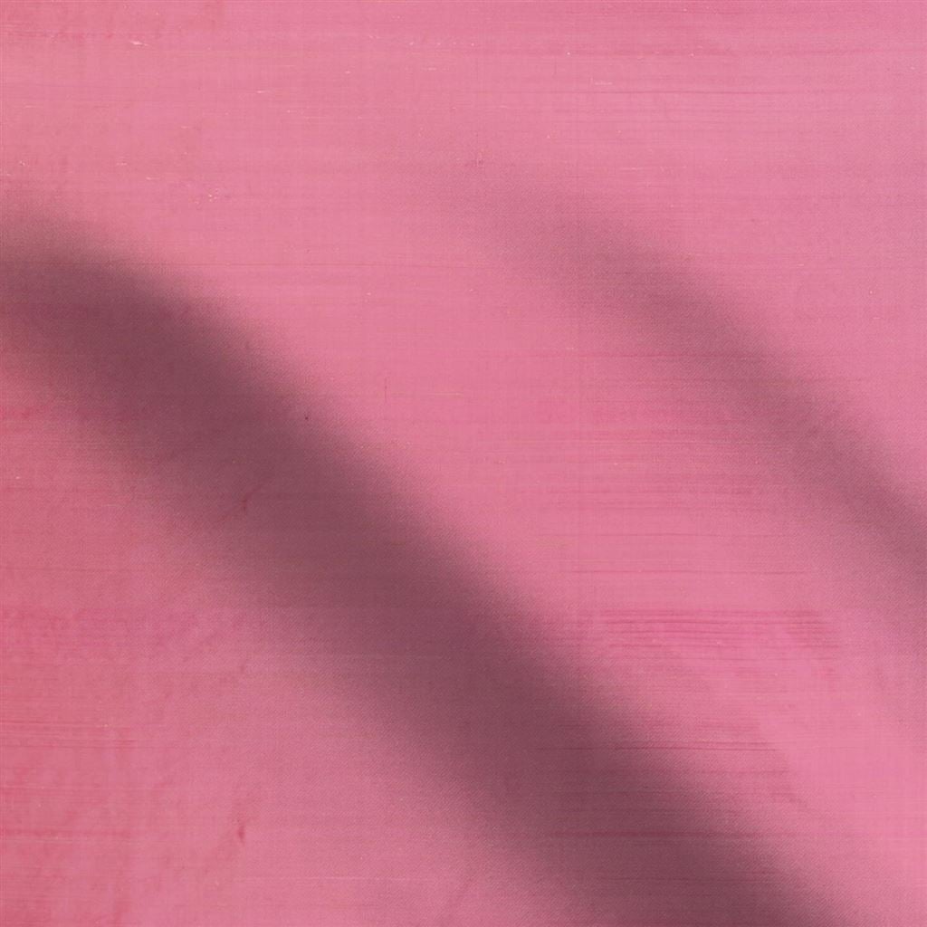 chinon - peony