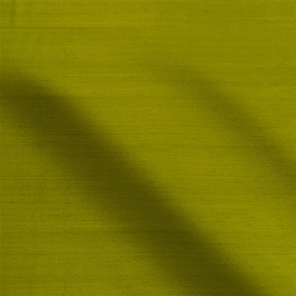chinon - grass