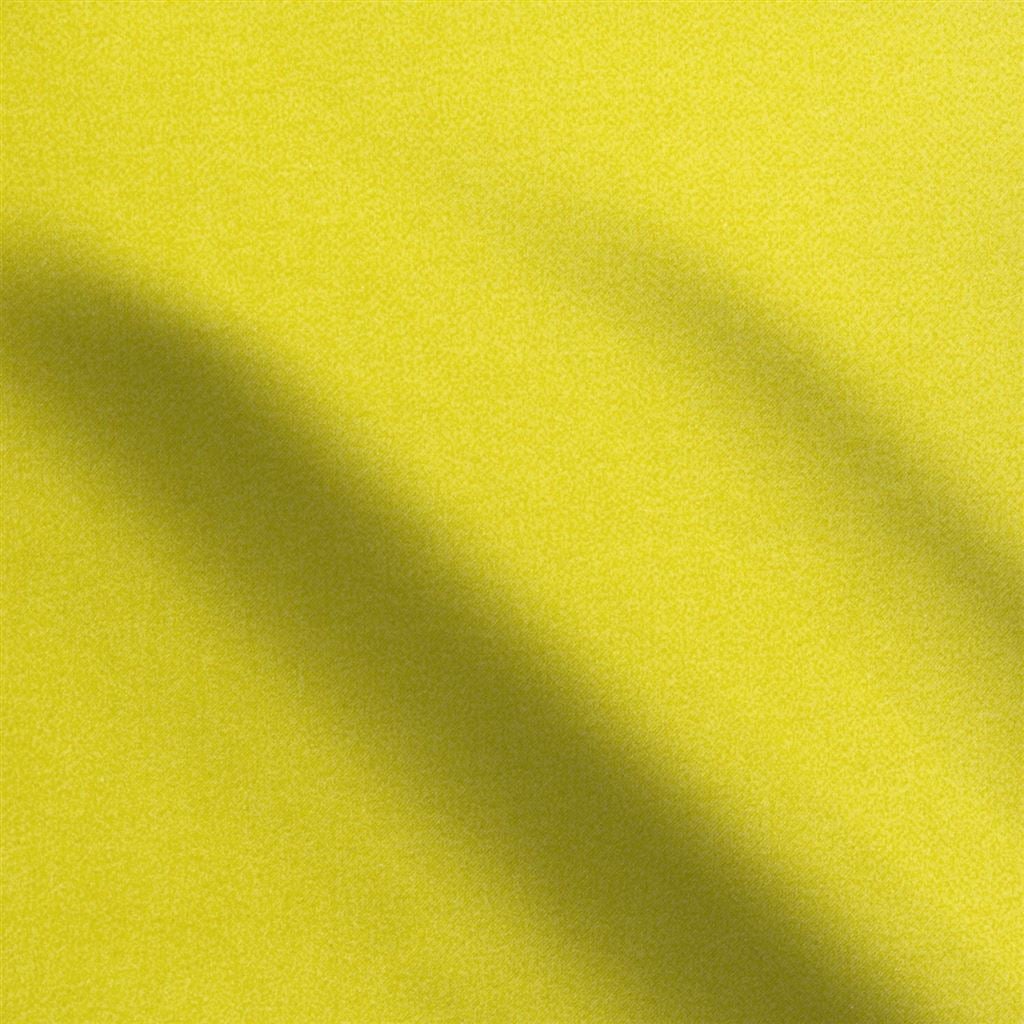 varese - alchemilla
