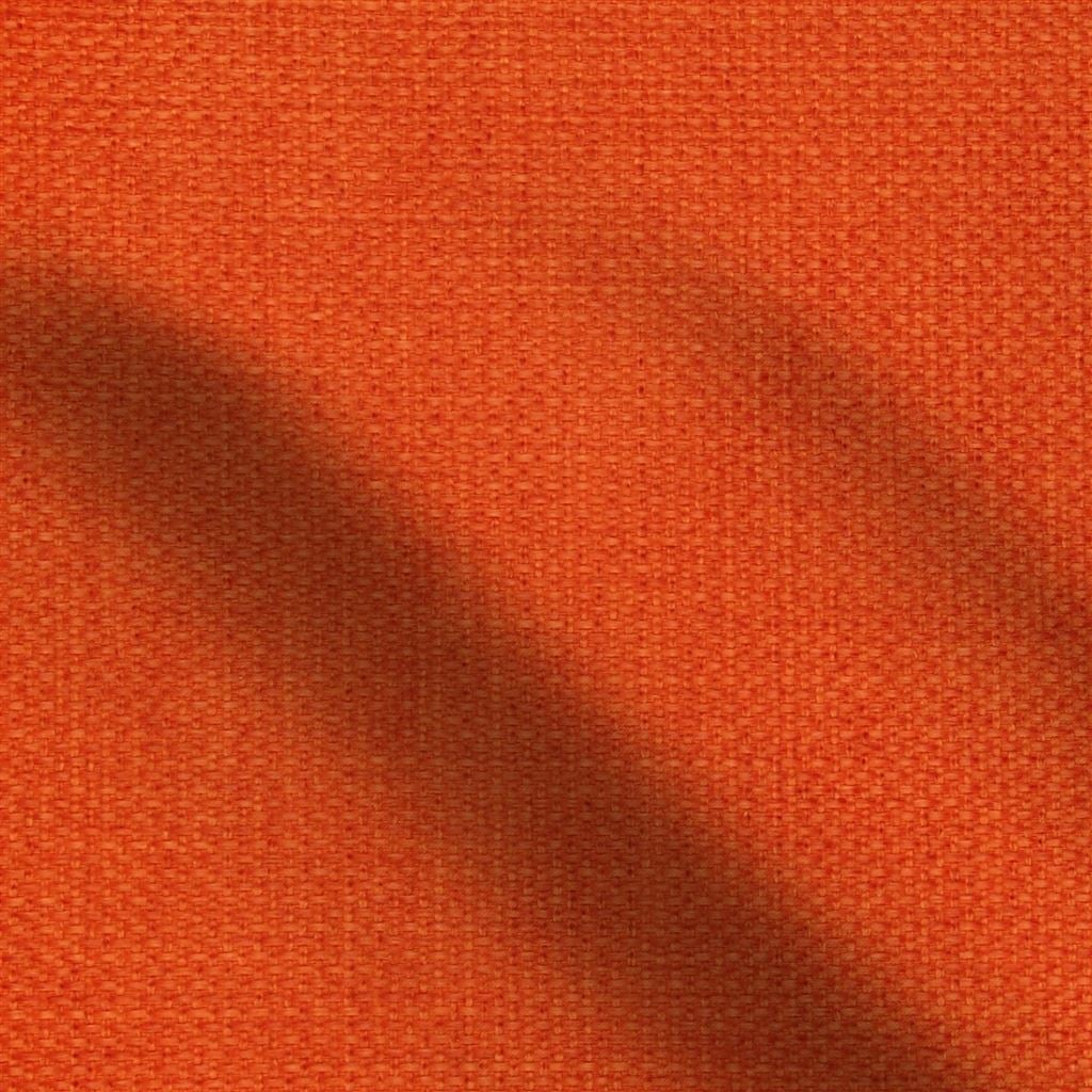 catalan - persimmon