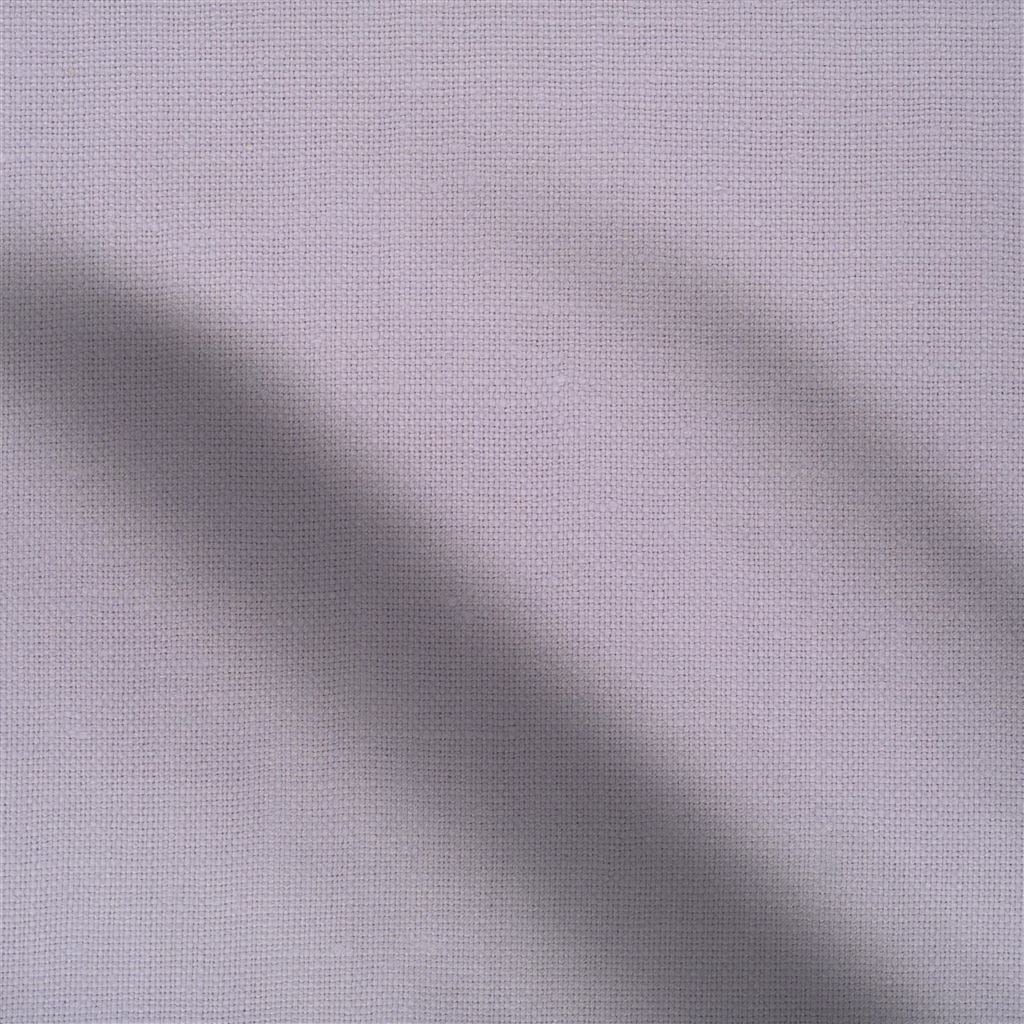 conway - orchid