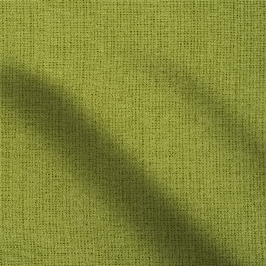 conway - leaf