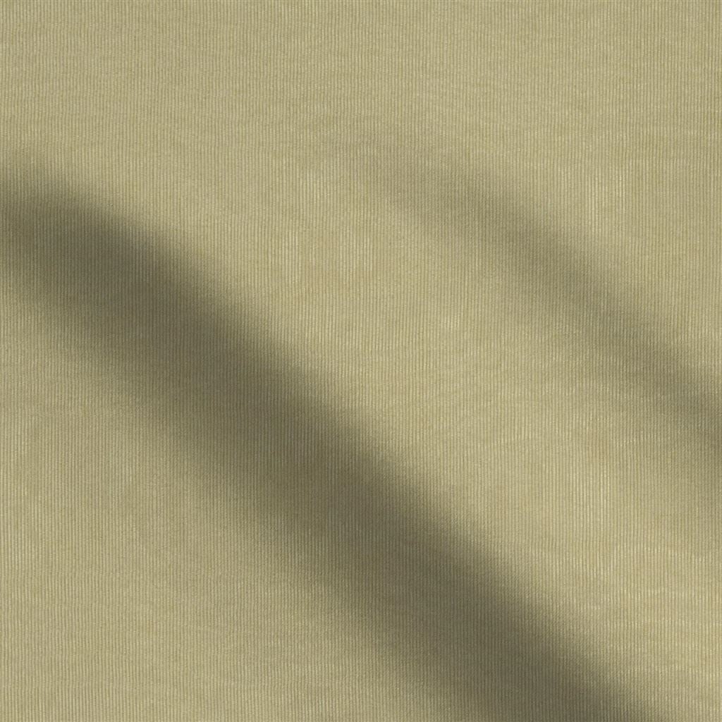 chinaz - roebuck