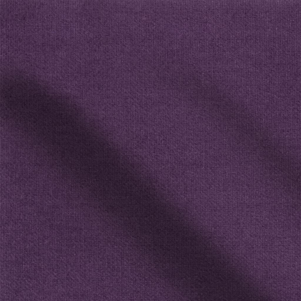 rapallo - grape