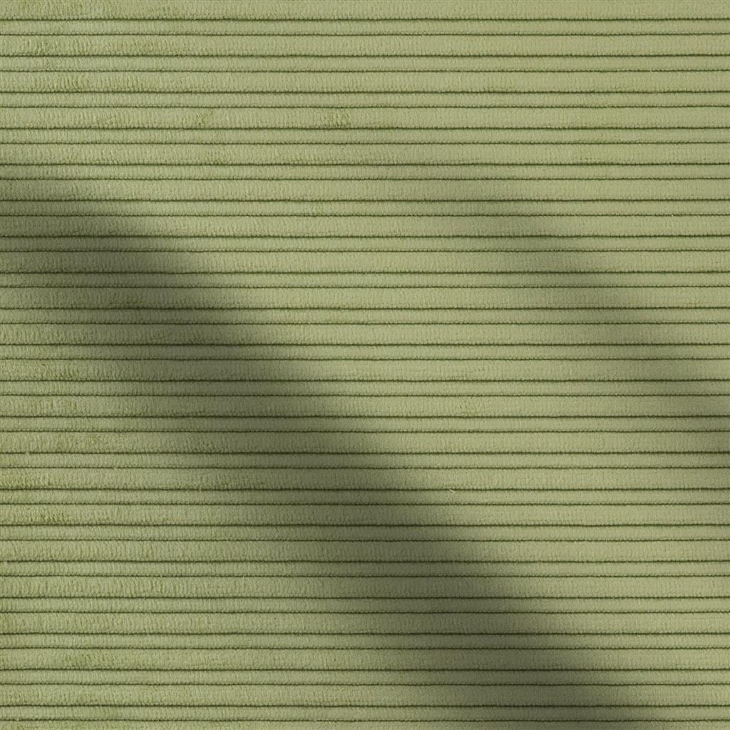 repino - moss