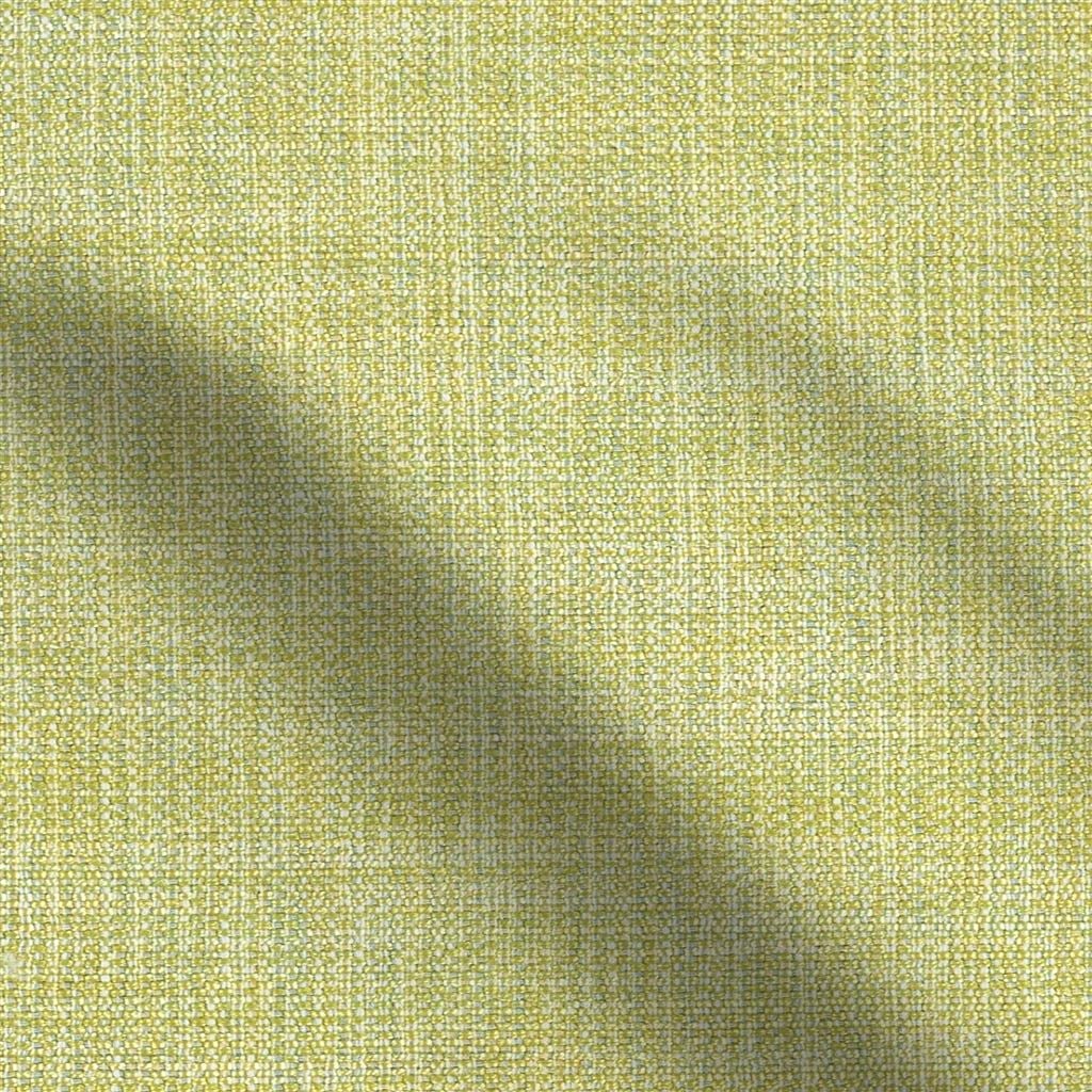 shima - fennel