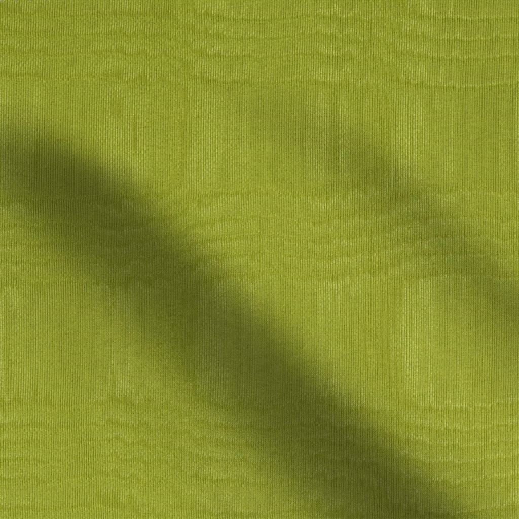 chinaz - moss