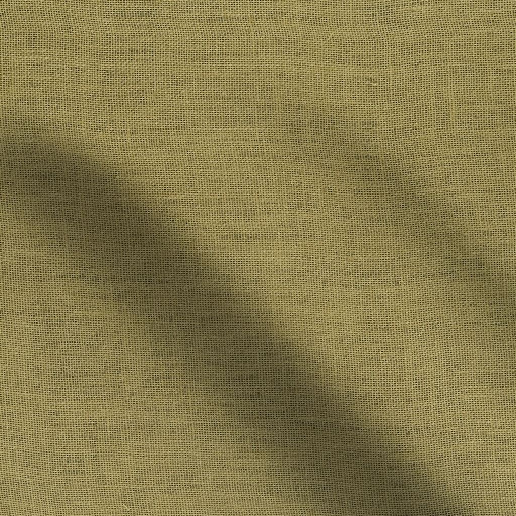 bassano - nutmeg