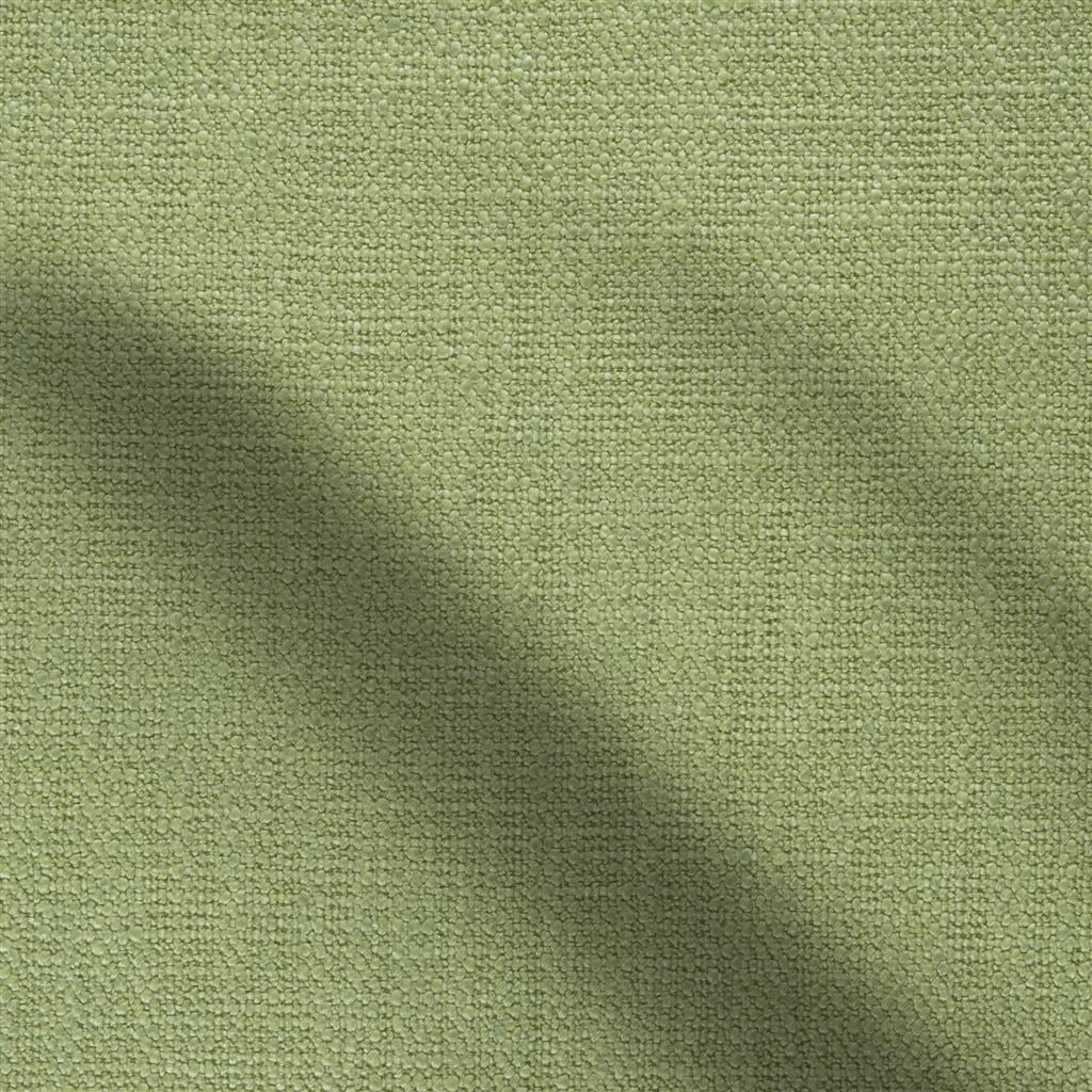 trento - seagrass