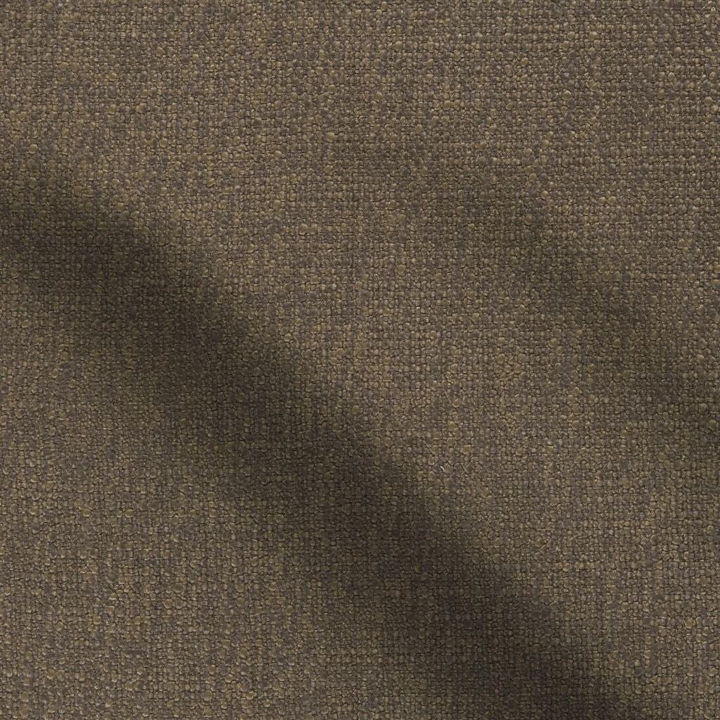 trento - acorn