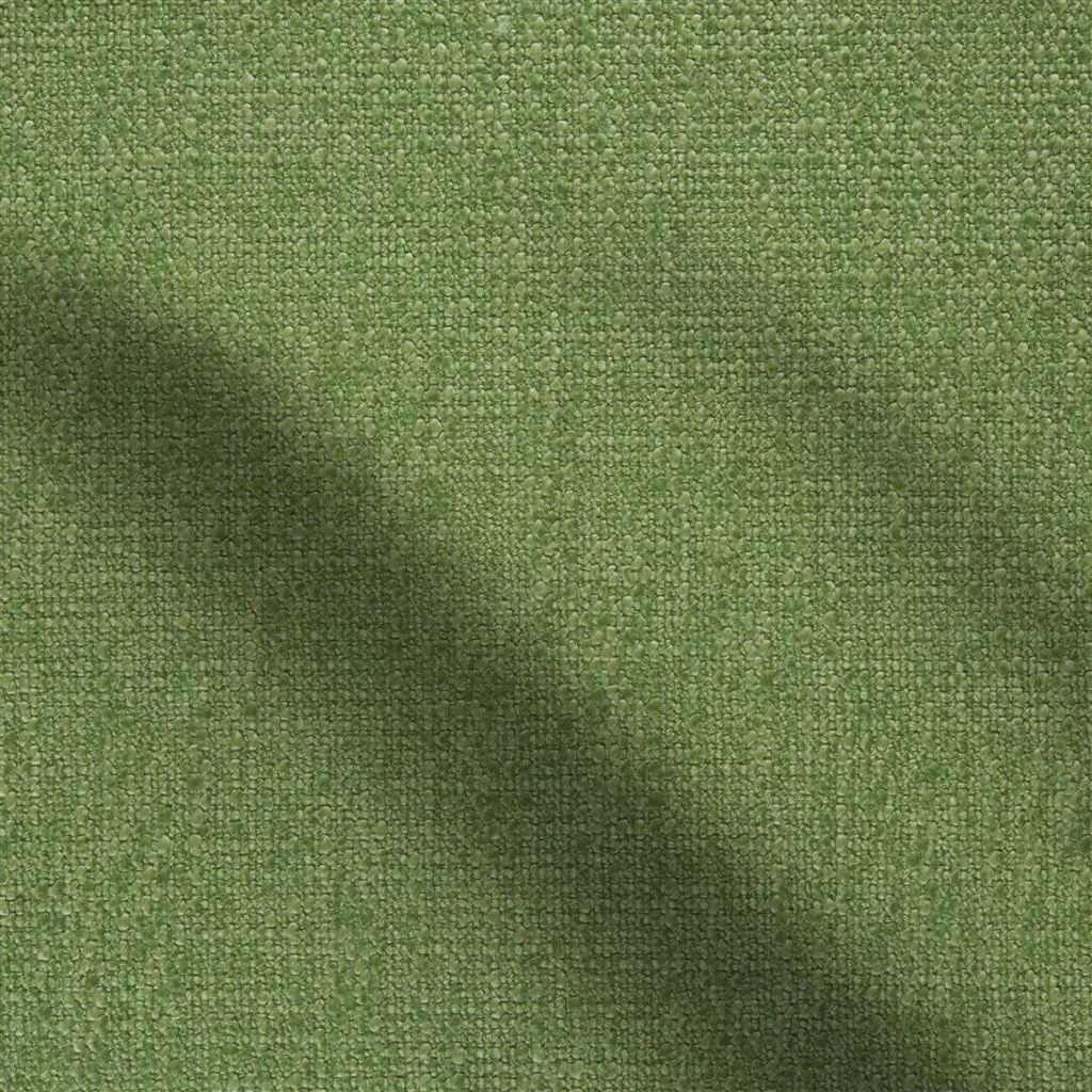 trento - basil