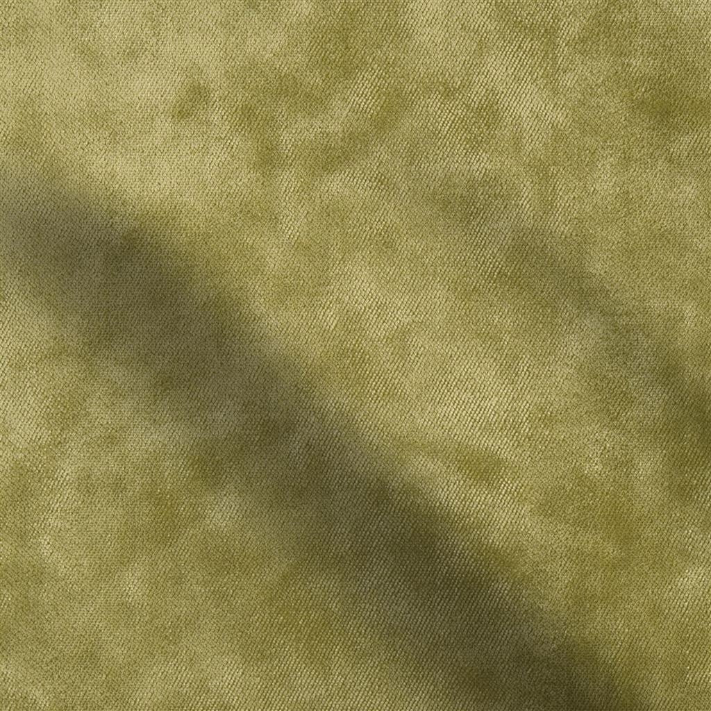moyarta - olive