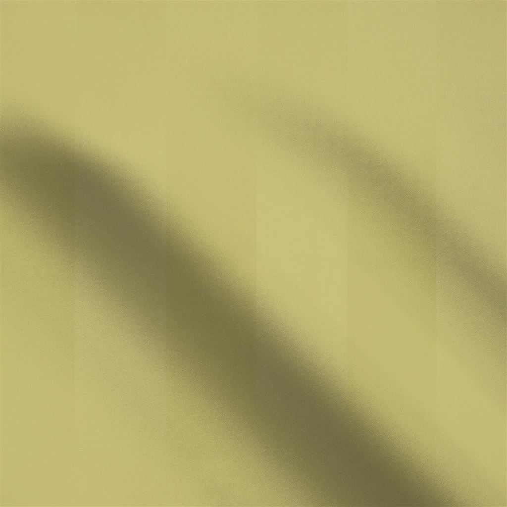 foyle - acacia