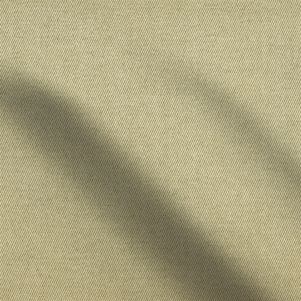 moray - sand