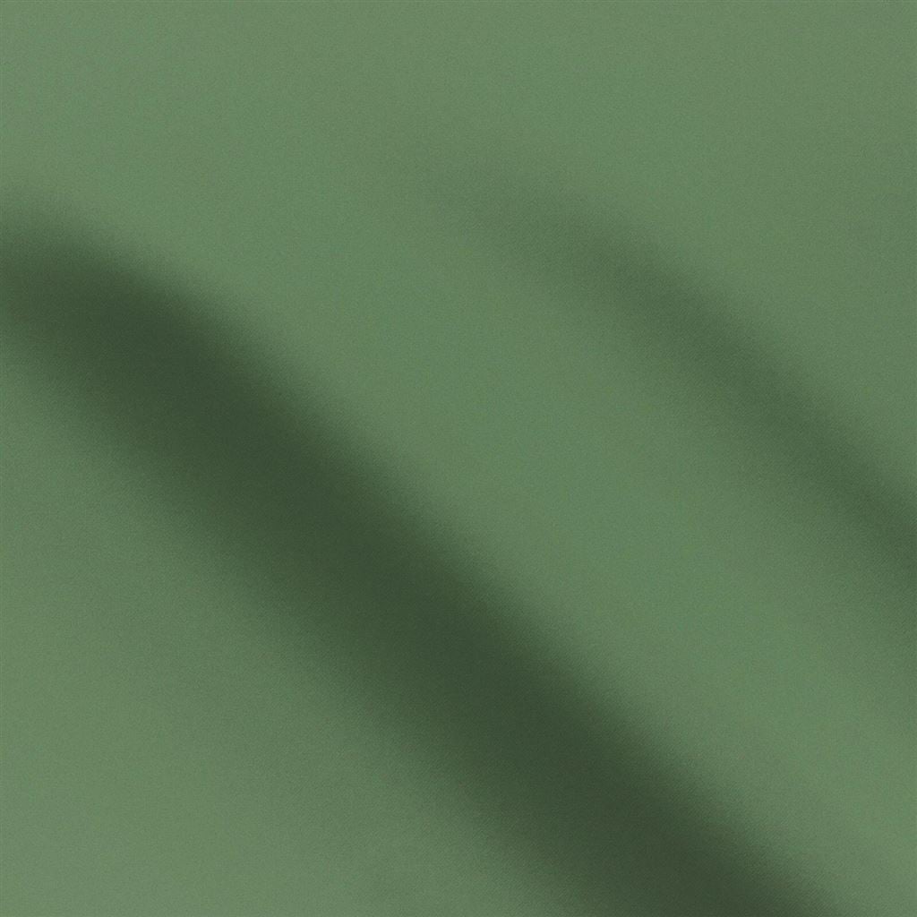 Tiber Fern