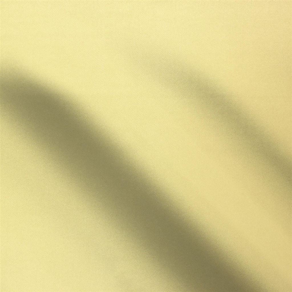 tiber - alchemilla