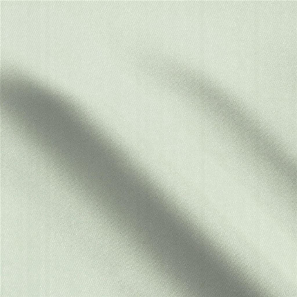 moray - glacier