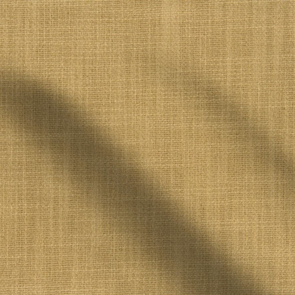 panaro - nutmeg