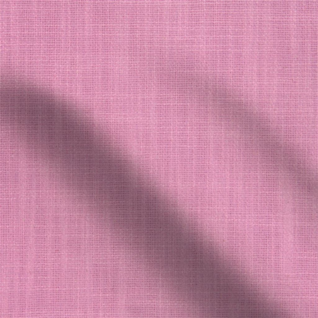panaro - peony