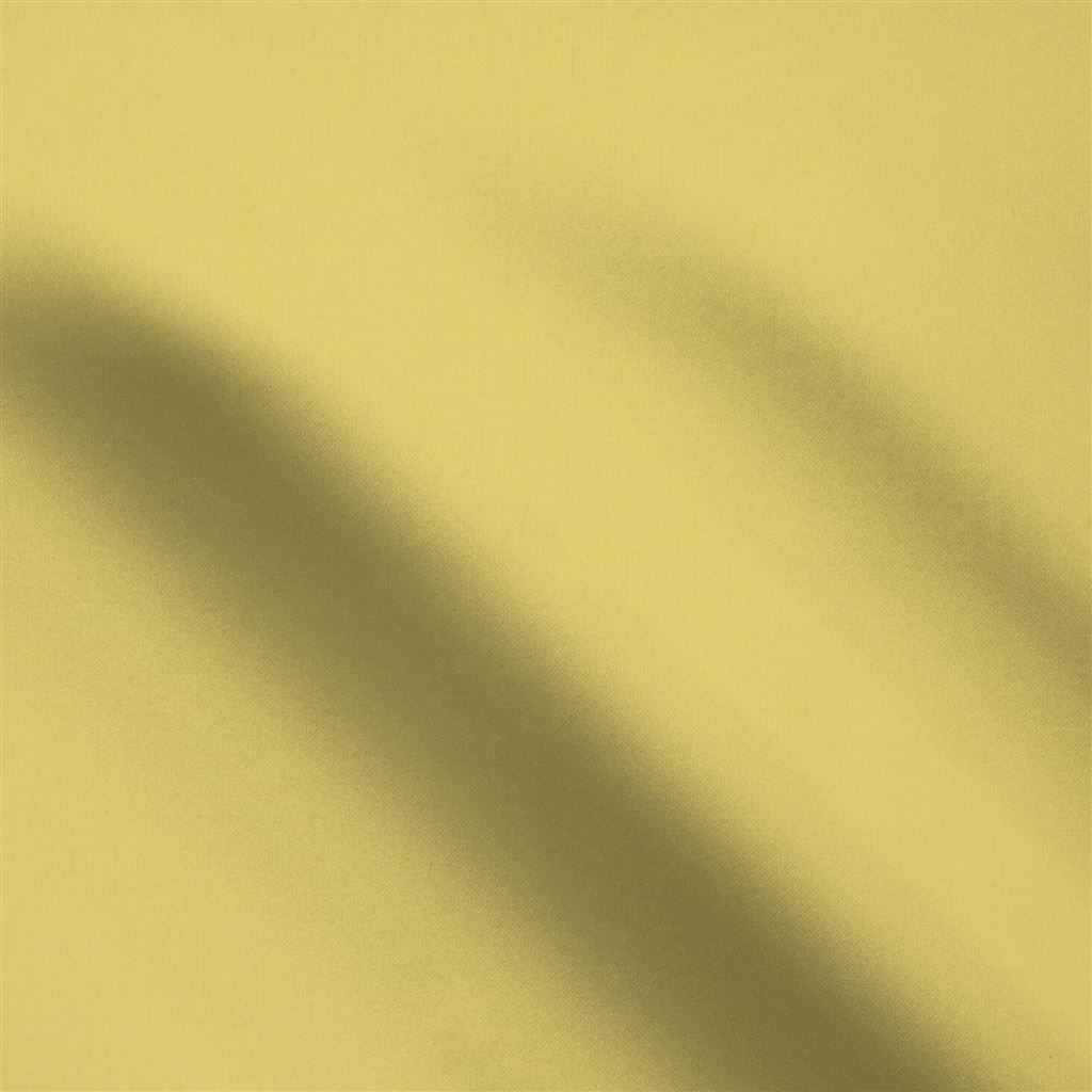 aviano - primrose
