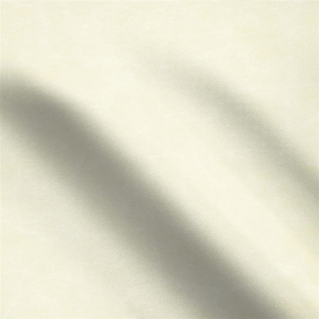 arizona - ivory