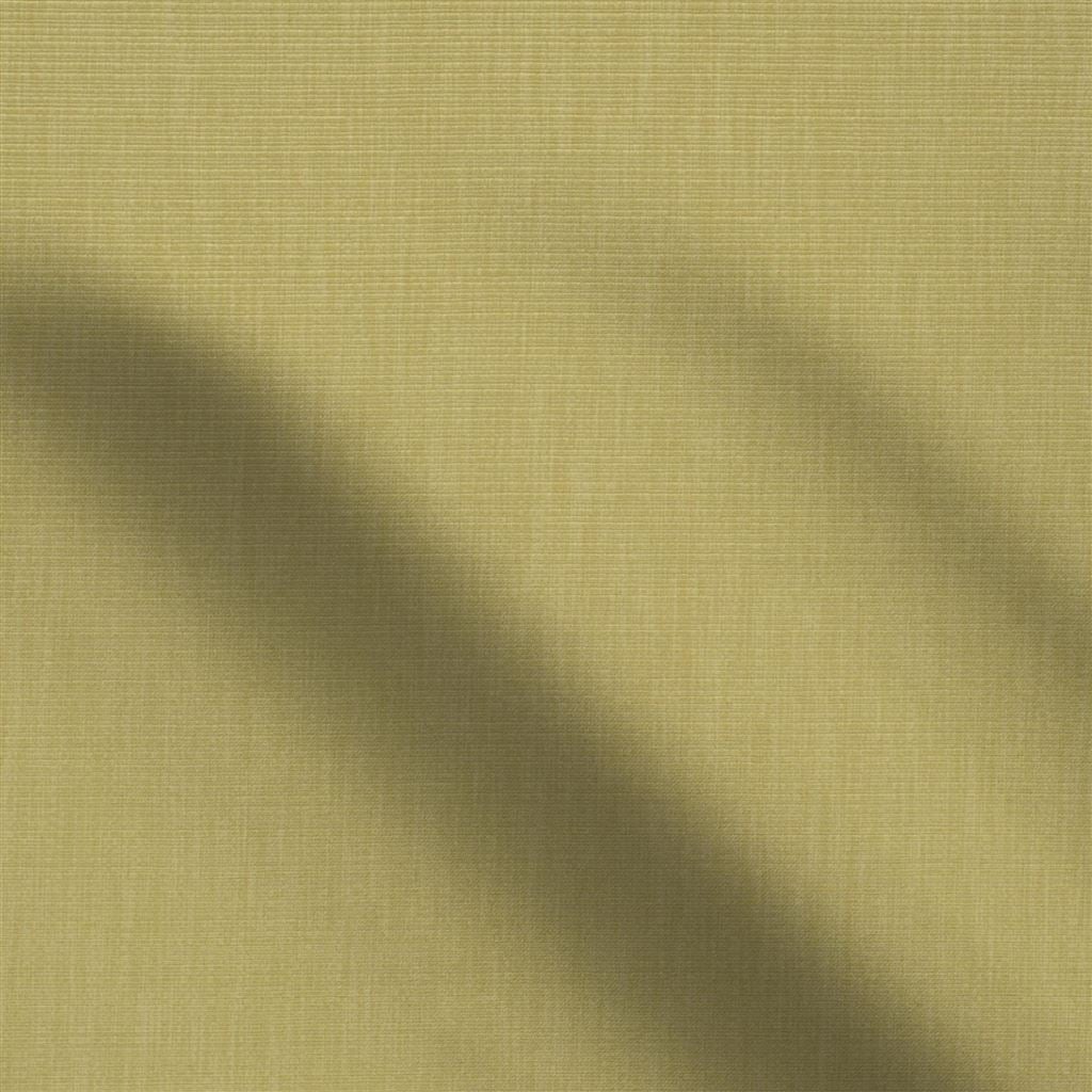 barra - reed