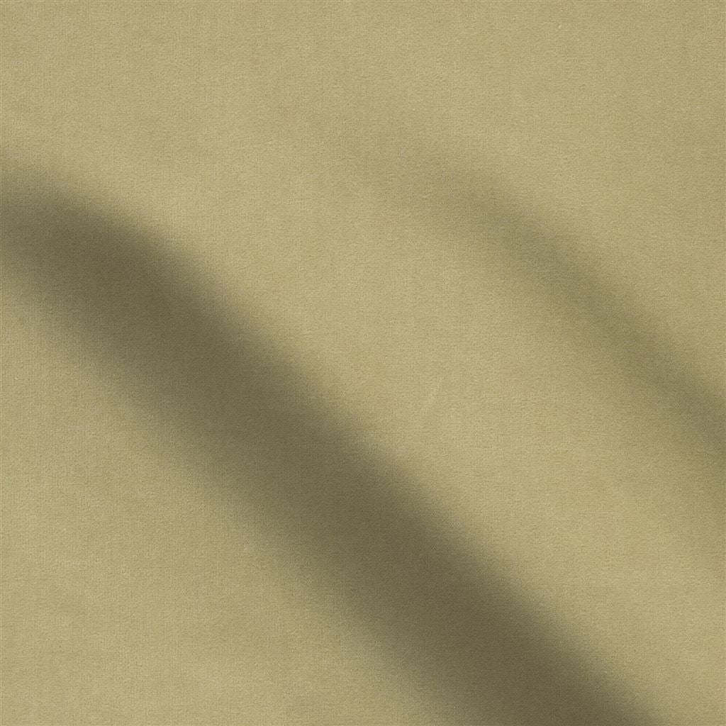 cassia - biscuit