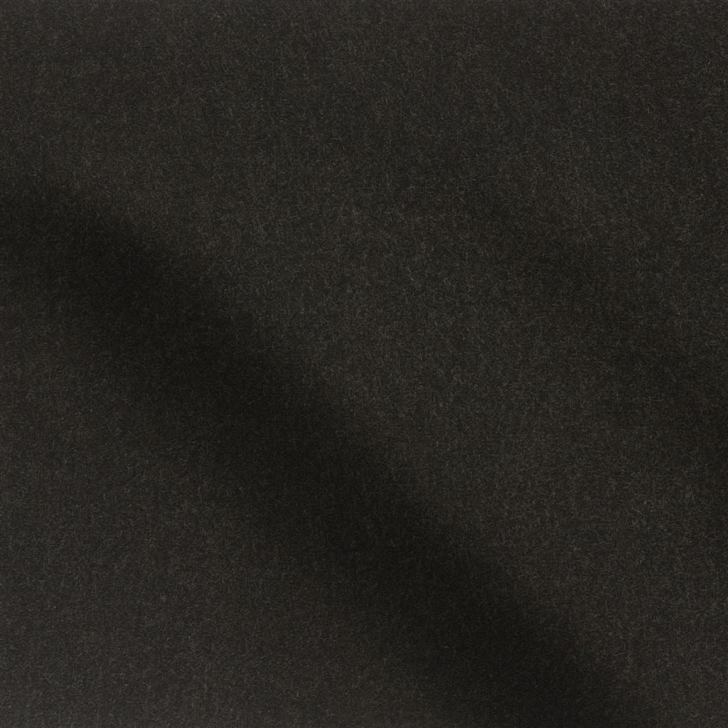 cassia - cocoa