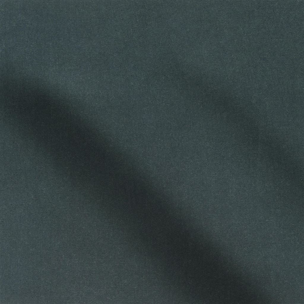 cassia - graphite